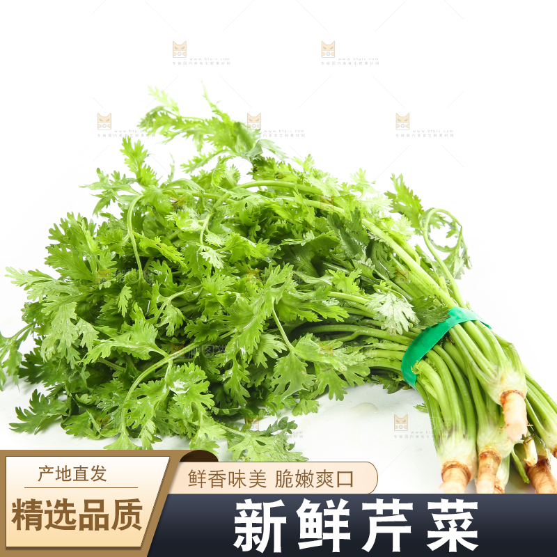 白底上的芹菜