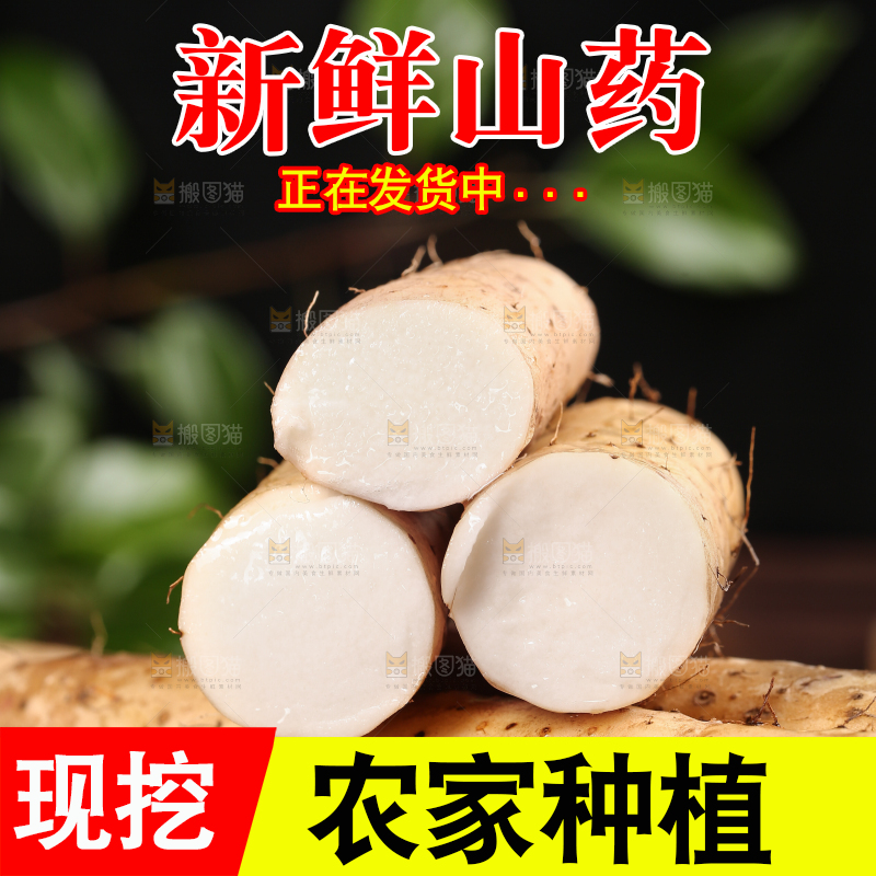 深底上的山药