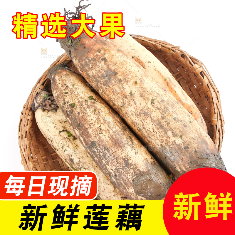 白底上放着莲藕