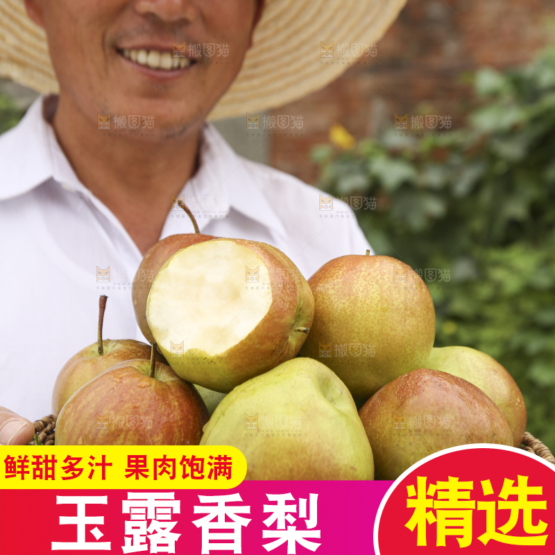 手里拿着玉露香梨