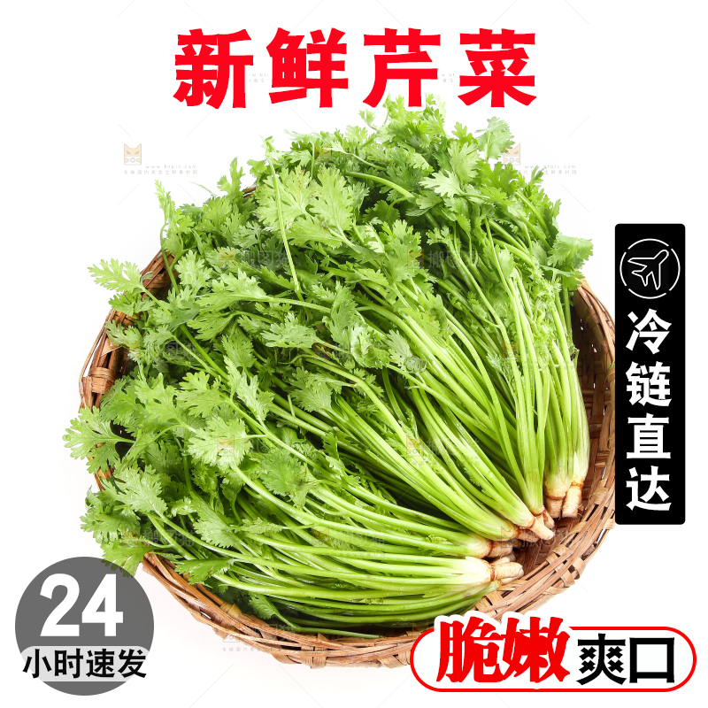 白底上的芹菜