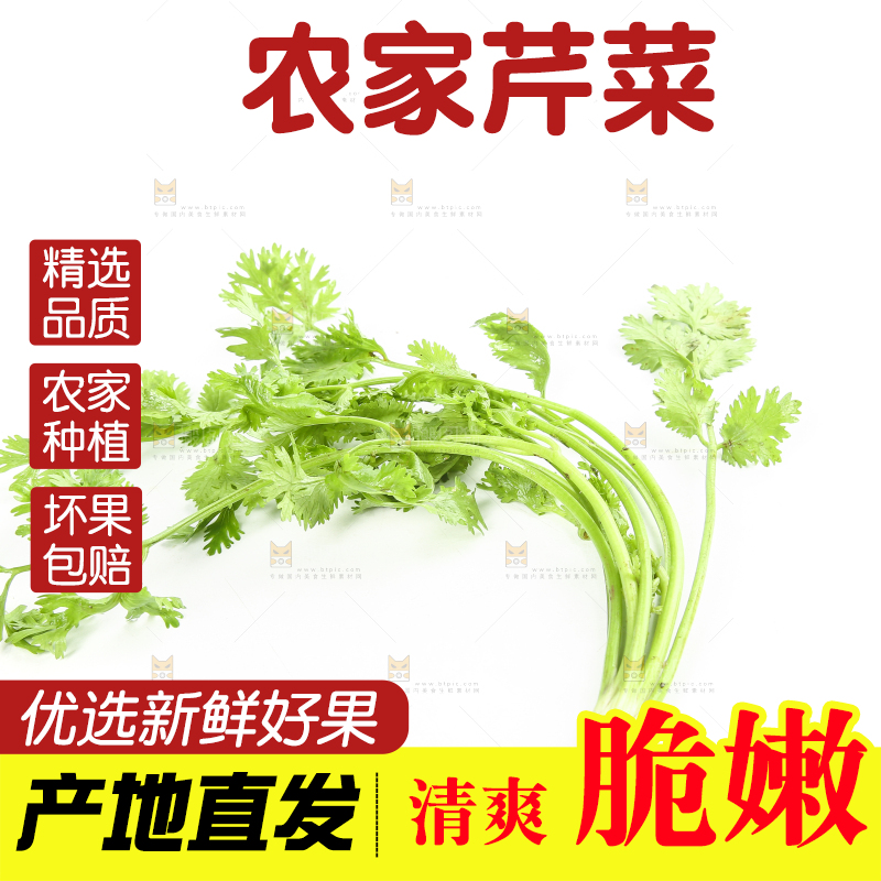 白底上的芹菜