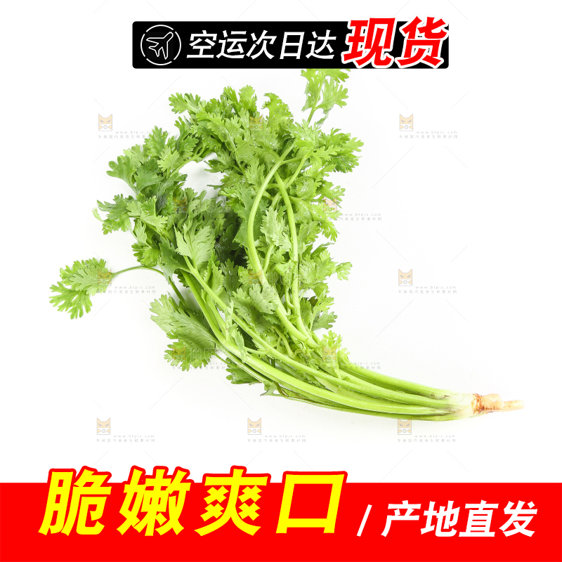 白底上的芹菜