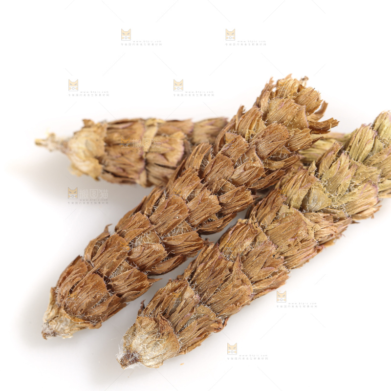 白底上放着夏枯草