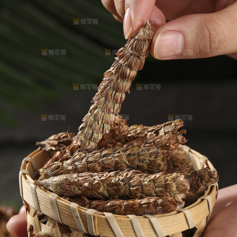 木底上的夏枯草