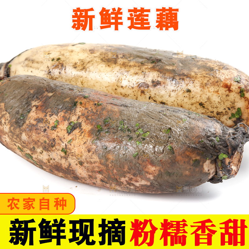白底上放着莲藕