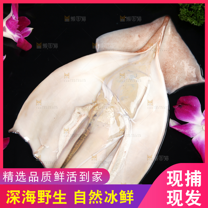 黑底上的鱿鱼