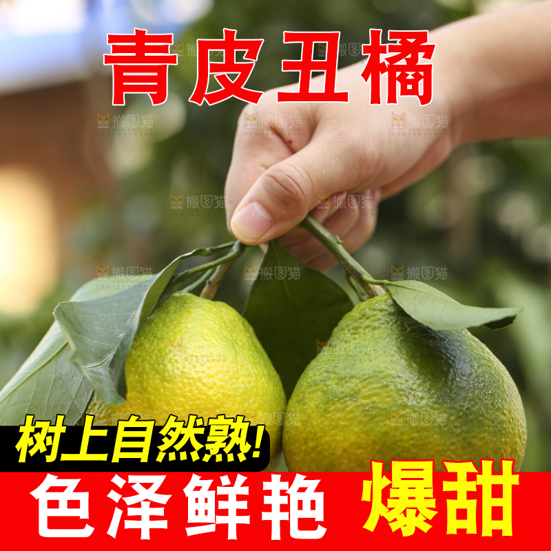 深底上的青皮丑橘