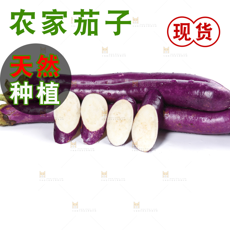 白底上的紫长茄子