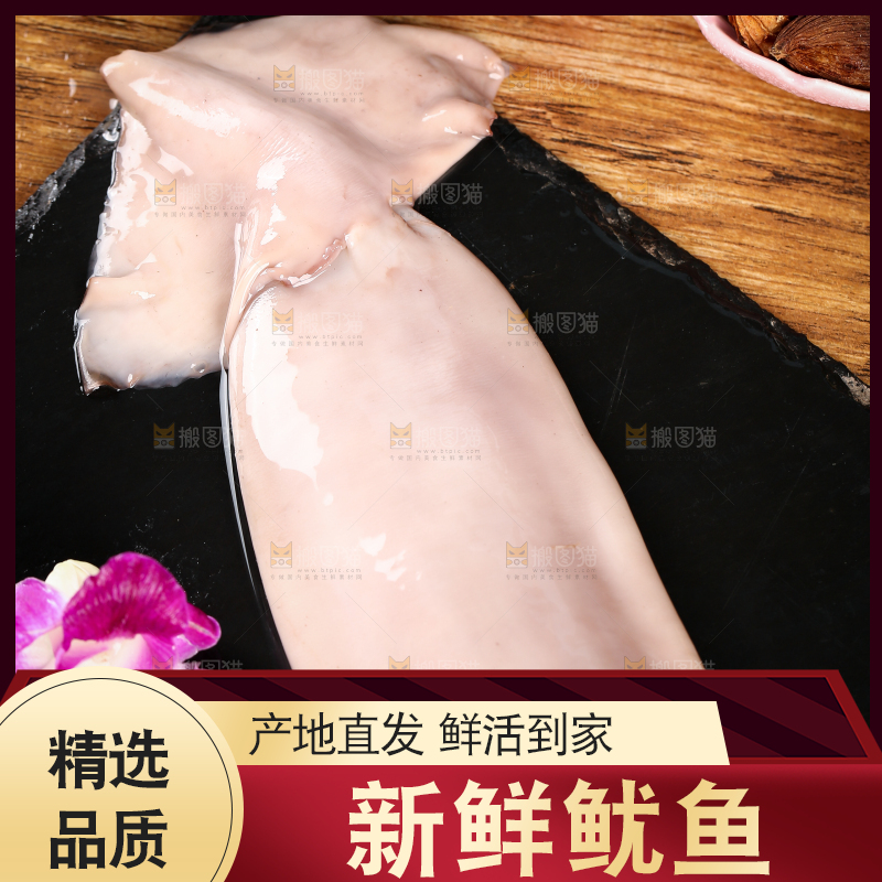 黑底上的鱿鱼