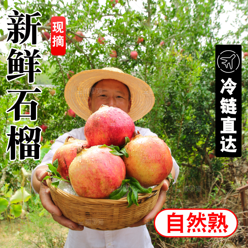 石榴产地