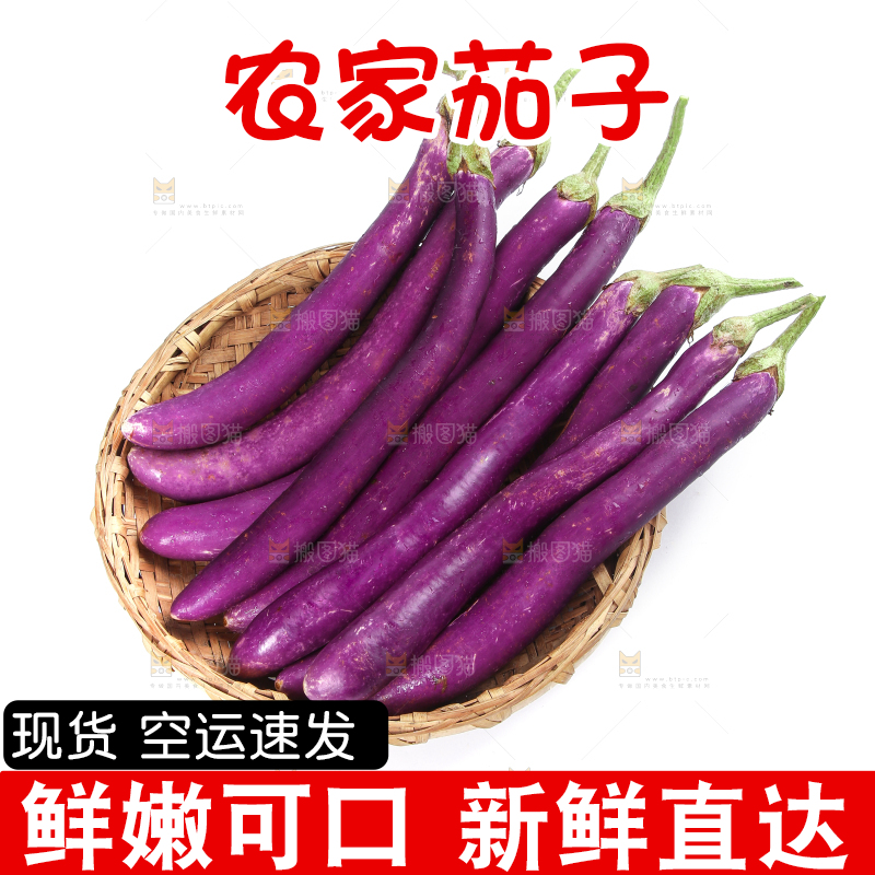 白底上的紫长茄子