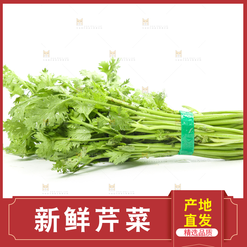 白底上的芹菜