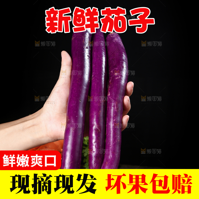 深底上的紫长茄子