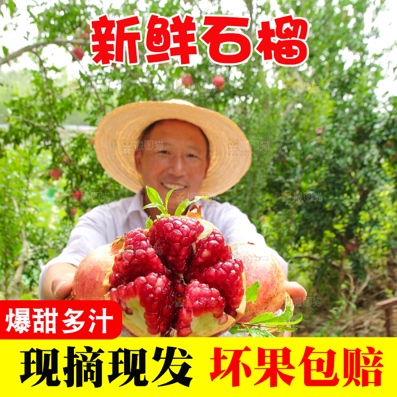 石榴产地
