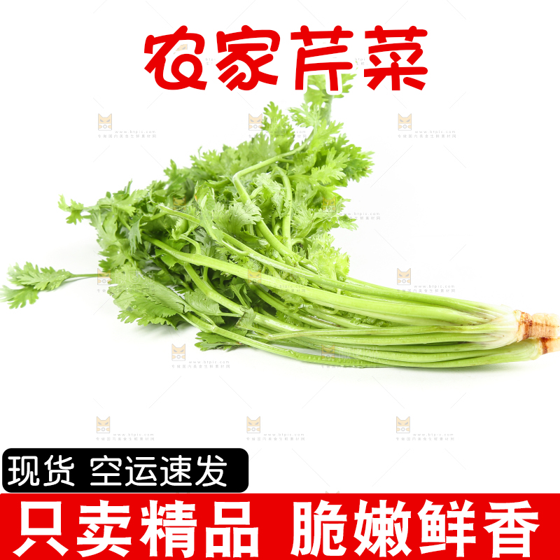 白底上的芹菜