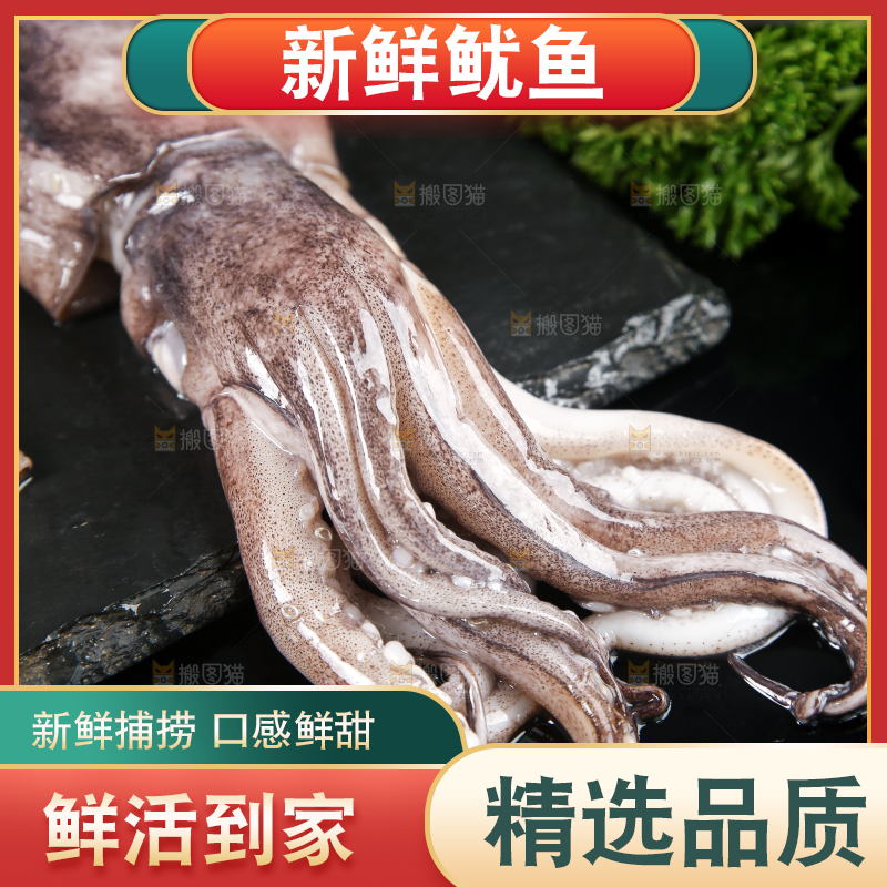 黑底上的鱿鱼
