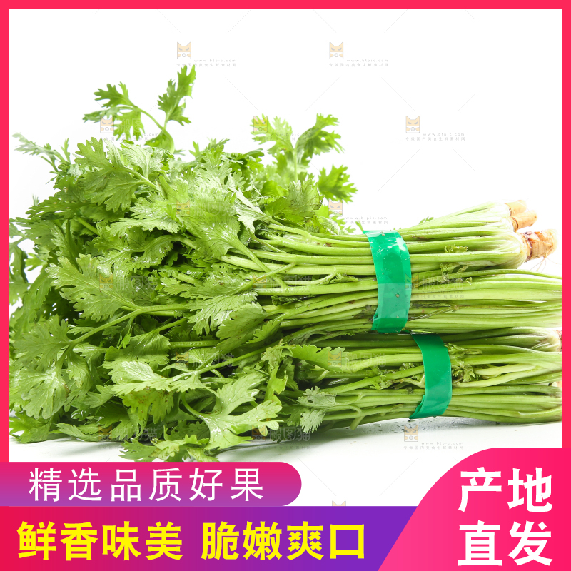 白底上的芹菜