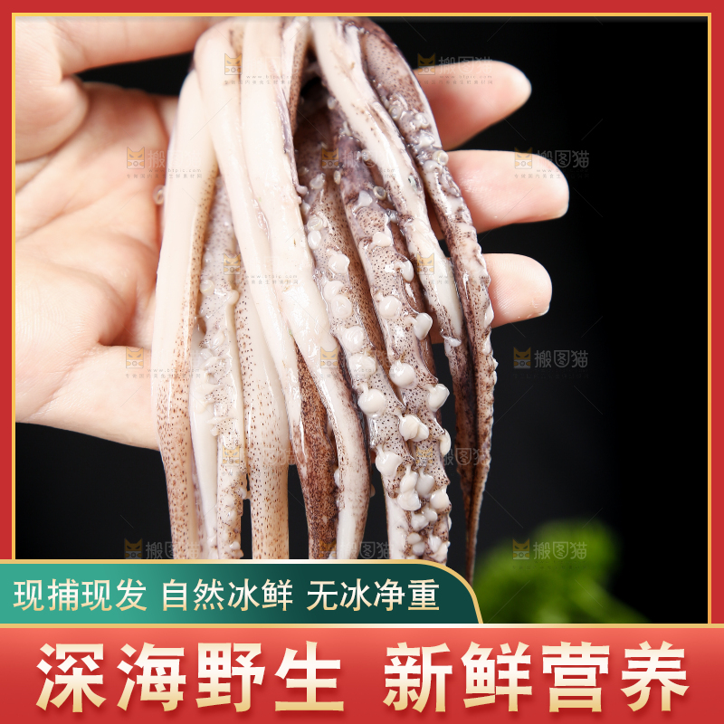 黑底上的鱿鱼