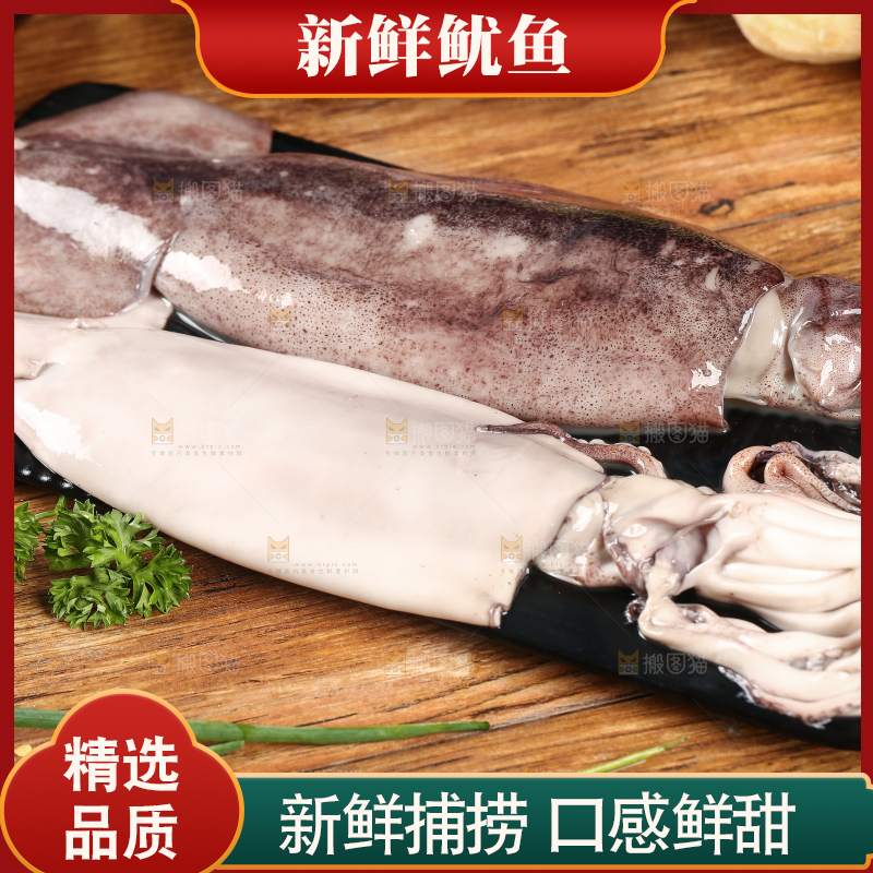 黑底上的鱿鱼