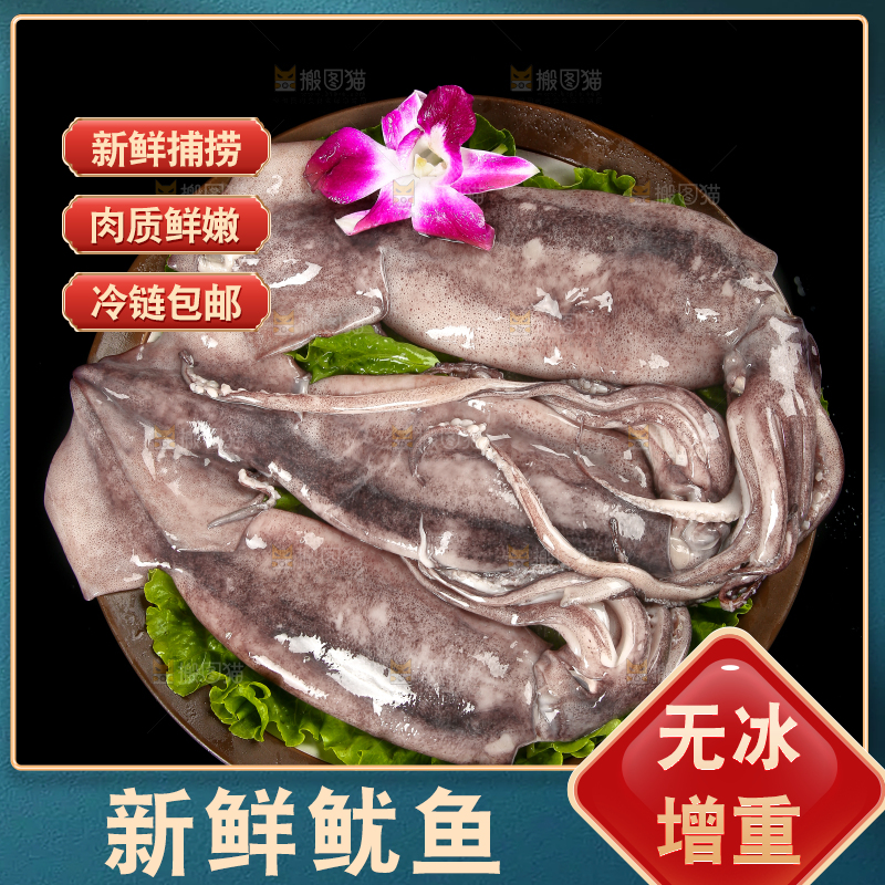 黑底上的鱿鱼
