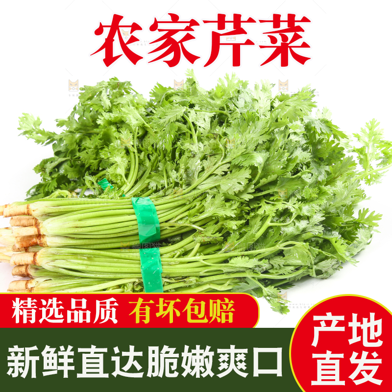 白底上的芹菜