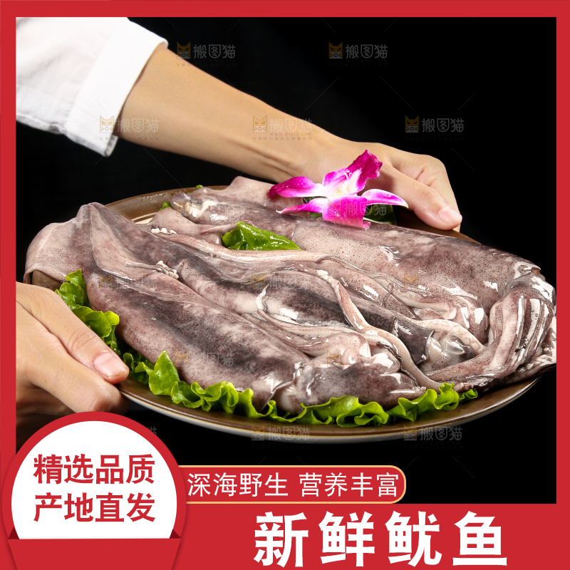 黑底上的鱿鱼