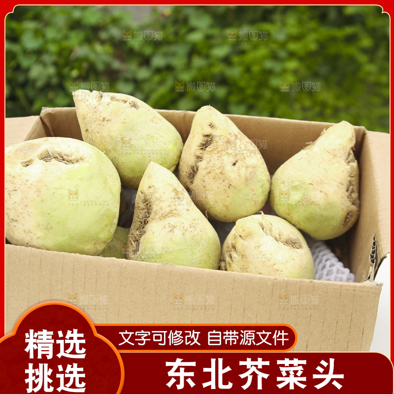 浅底上放着大头芥菜