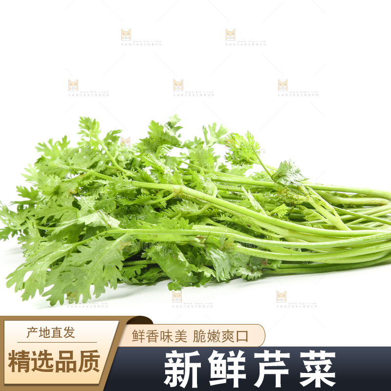 白底上的芹菜