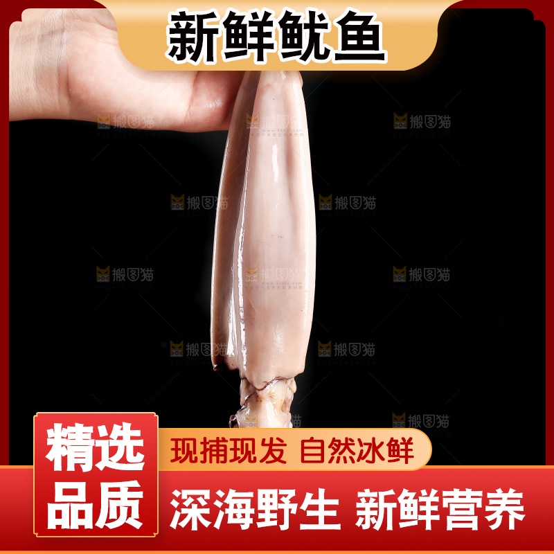 黑底上的鱿鱼