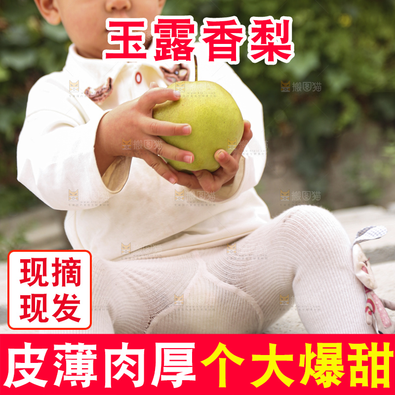 手里拿着玉露香梨