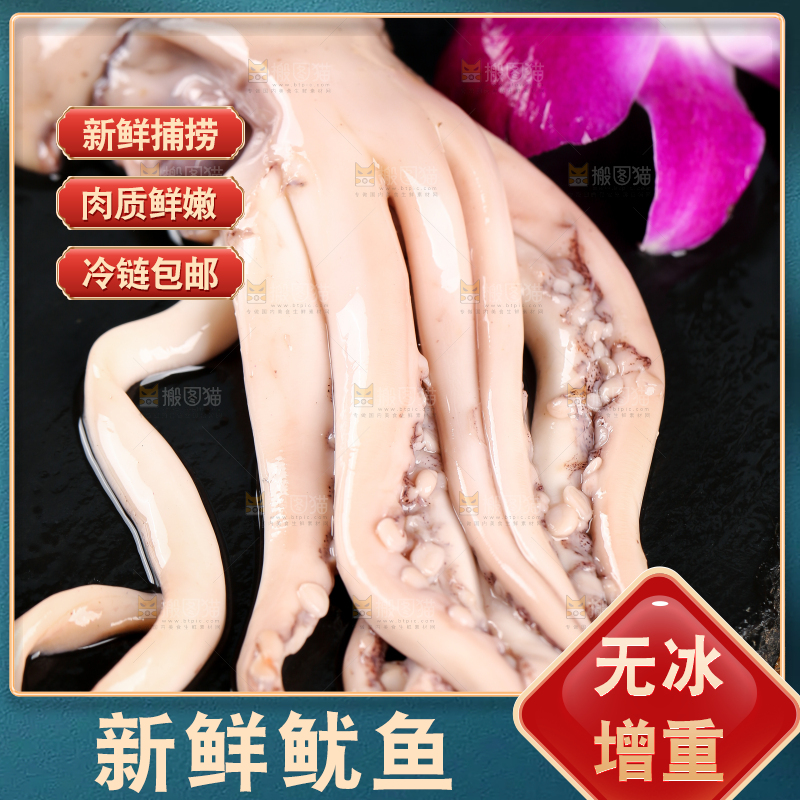 黑底上的鱿鱼