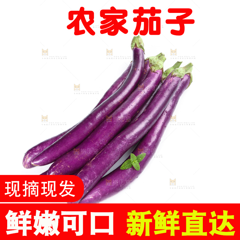 白底上的紫长茄子