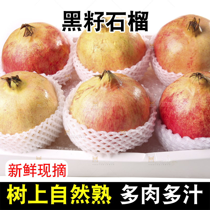 白底上的突尼斯软籽石榴