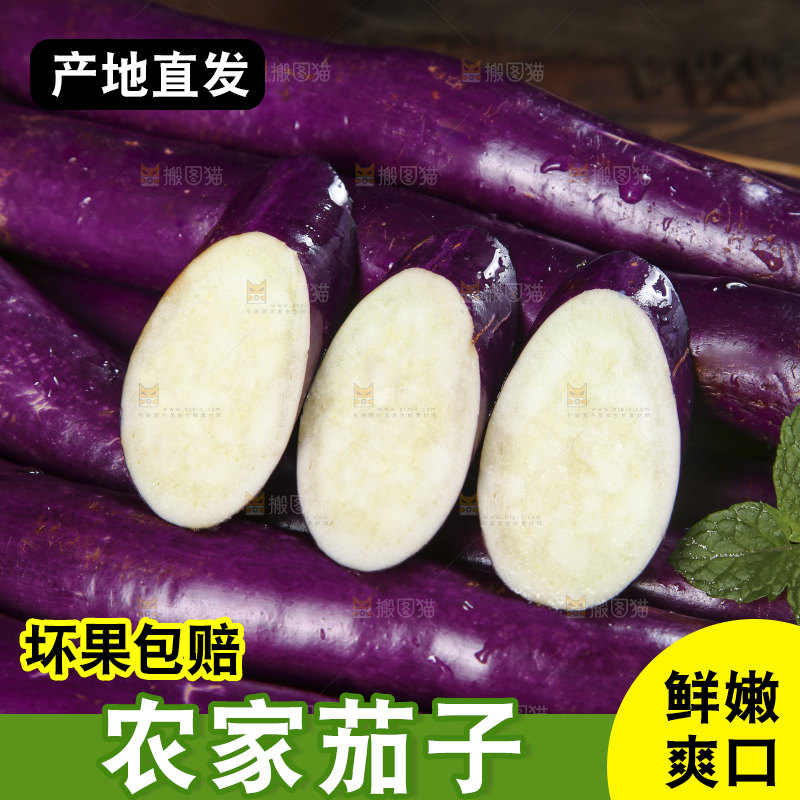 深底上的紫长茄子