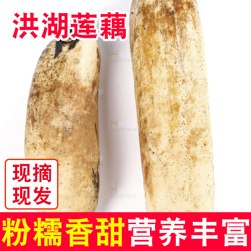 白底上放着莲藕