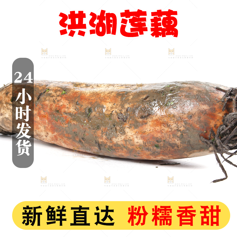 白底上放着莲藕
