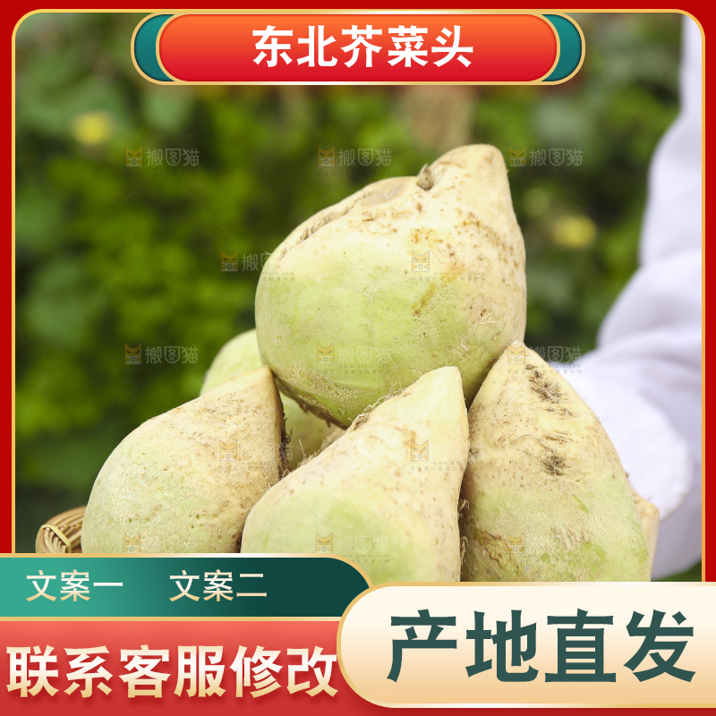 手里拿着大头芥菜