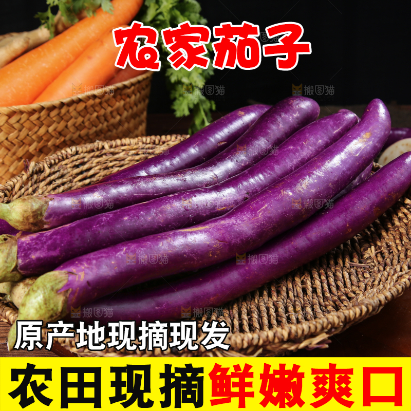 深底上的紫长茄子