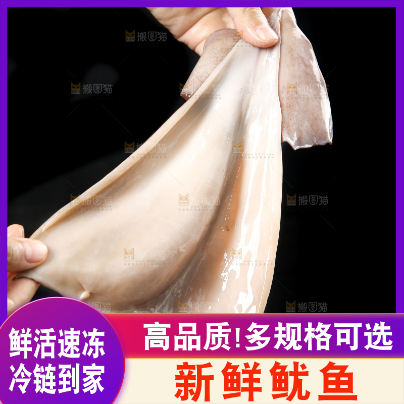 黑底上的鱿鱼