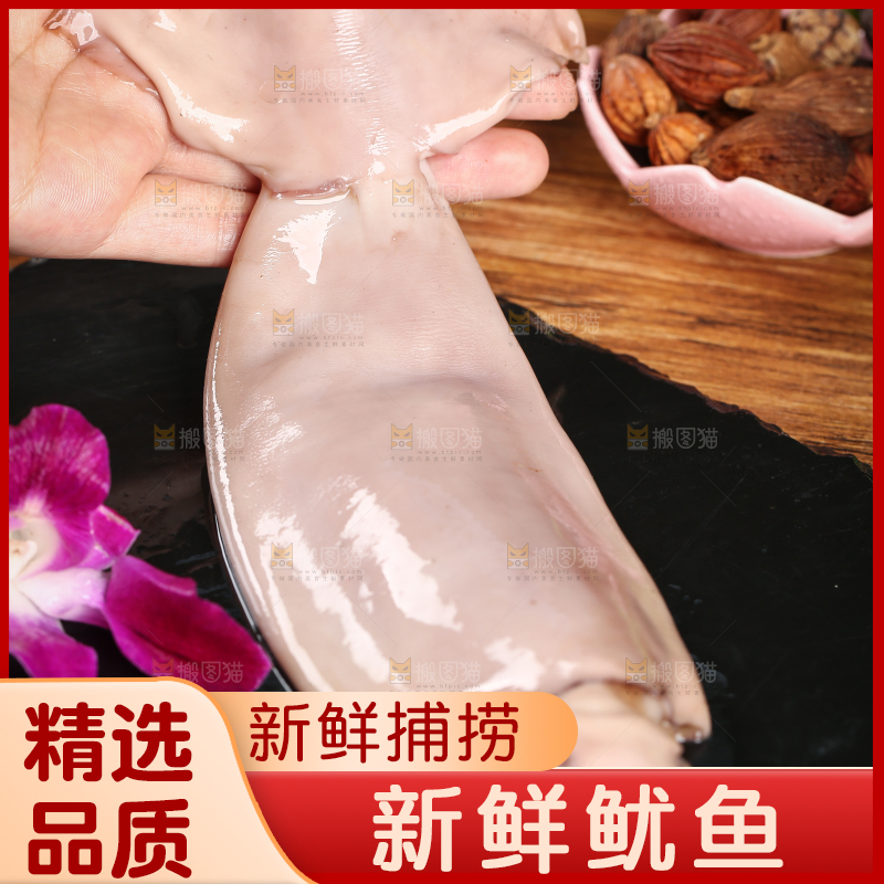 黑底上的鱿鱼