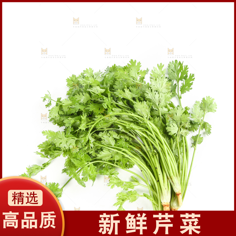 白底上的芹菜