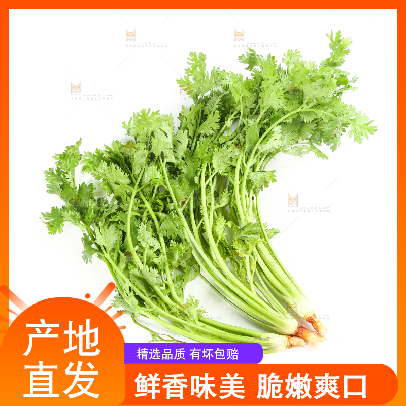 白底上的芹菜