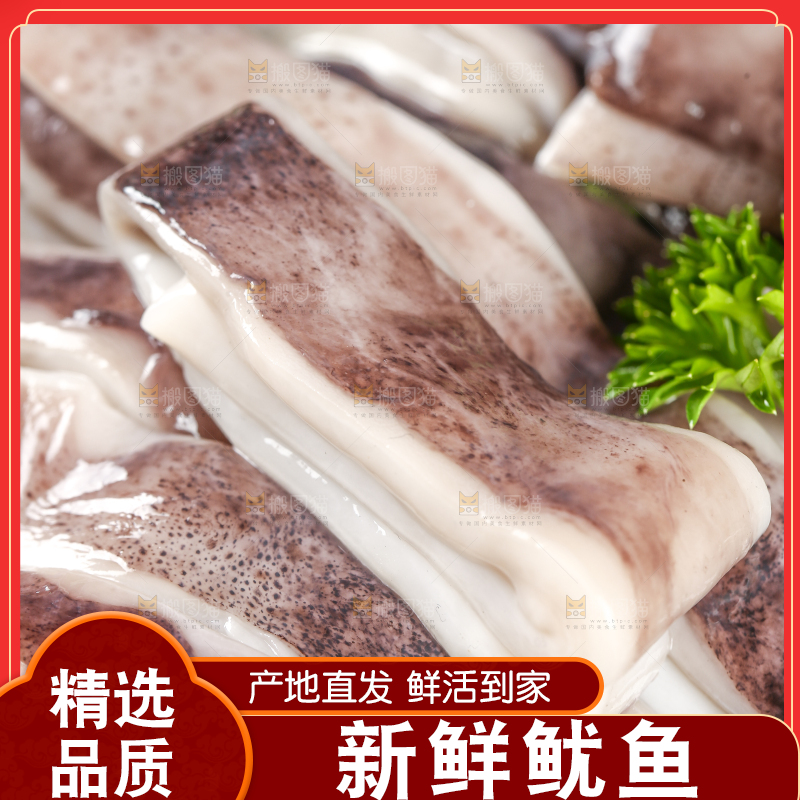 黑底上的鱿鱼