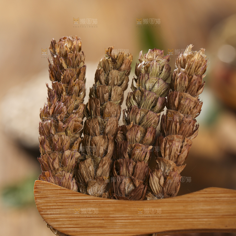 木底上的夏枯草