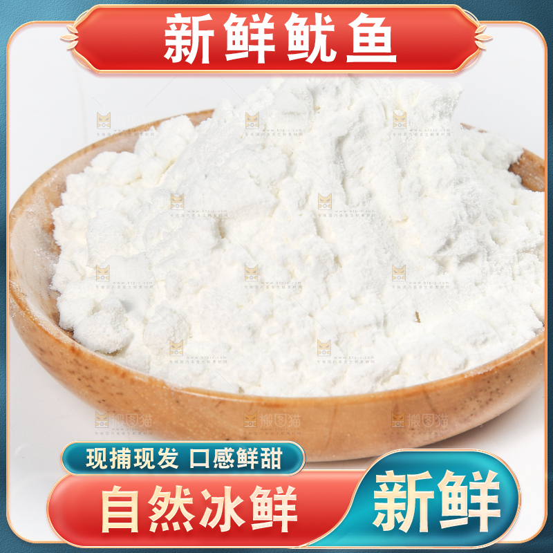 白底上的鱿鱼