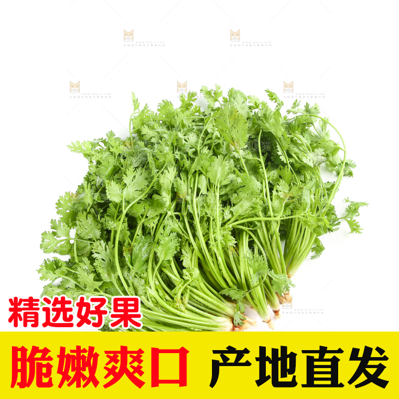 白底上的芹菜