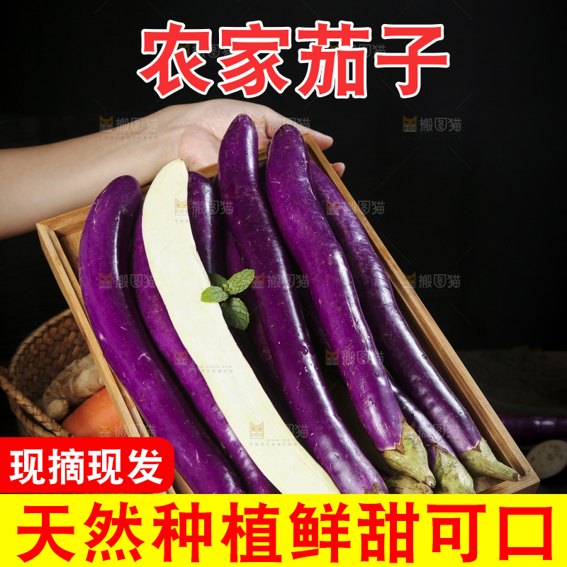 深底上的紫长茄子