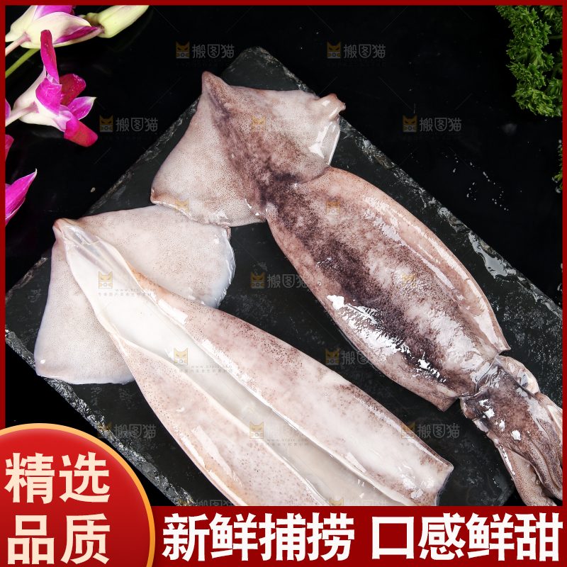 黑底上的鱿鱼
