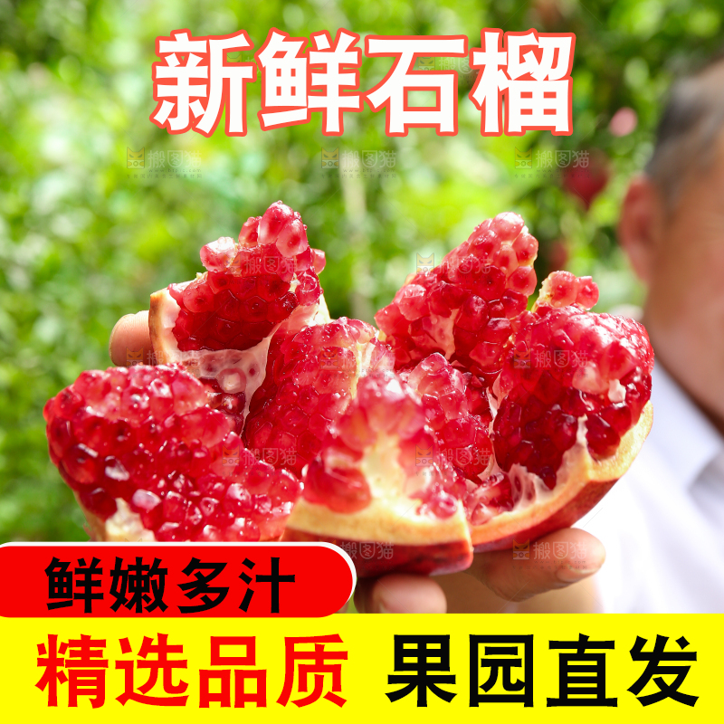 石榴产地